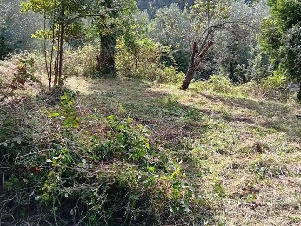 Terreno a Varazze in via Quinno - Foto 2