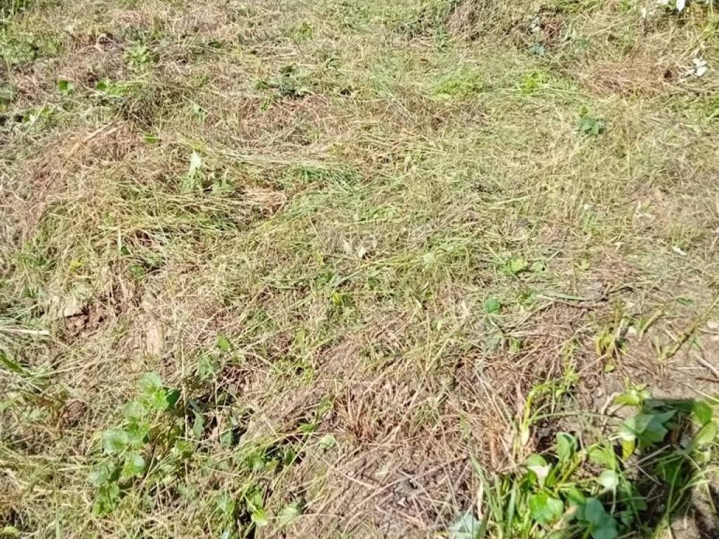 Terreno a Varazze in via Quinno - Foto 5