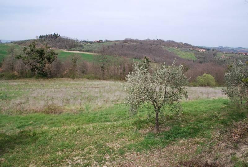 Rustico / casale a Città della pieve in Via Vannucci, 103 - Foto 4