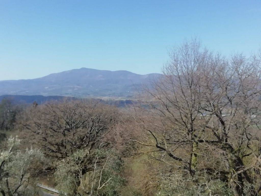 Terreno a Città della pieve in Via di Città della Pieve - Foto 2