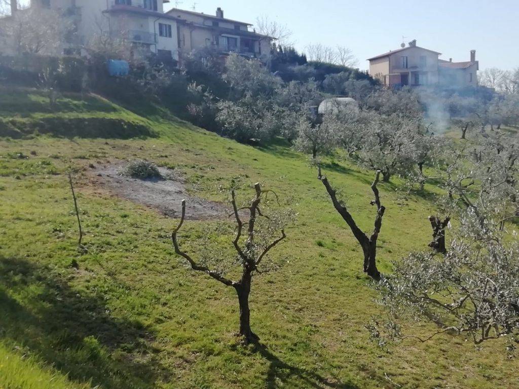 Terreno a Città della pieve in Via di Città della Pieve - Foto 3