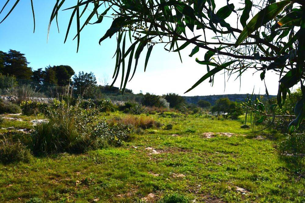 Terreno a Avola in Via Villadorata - Foto 5