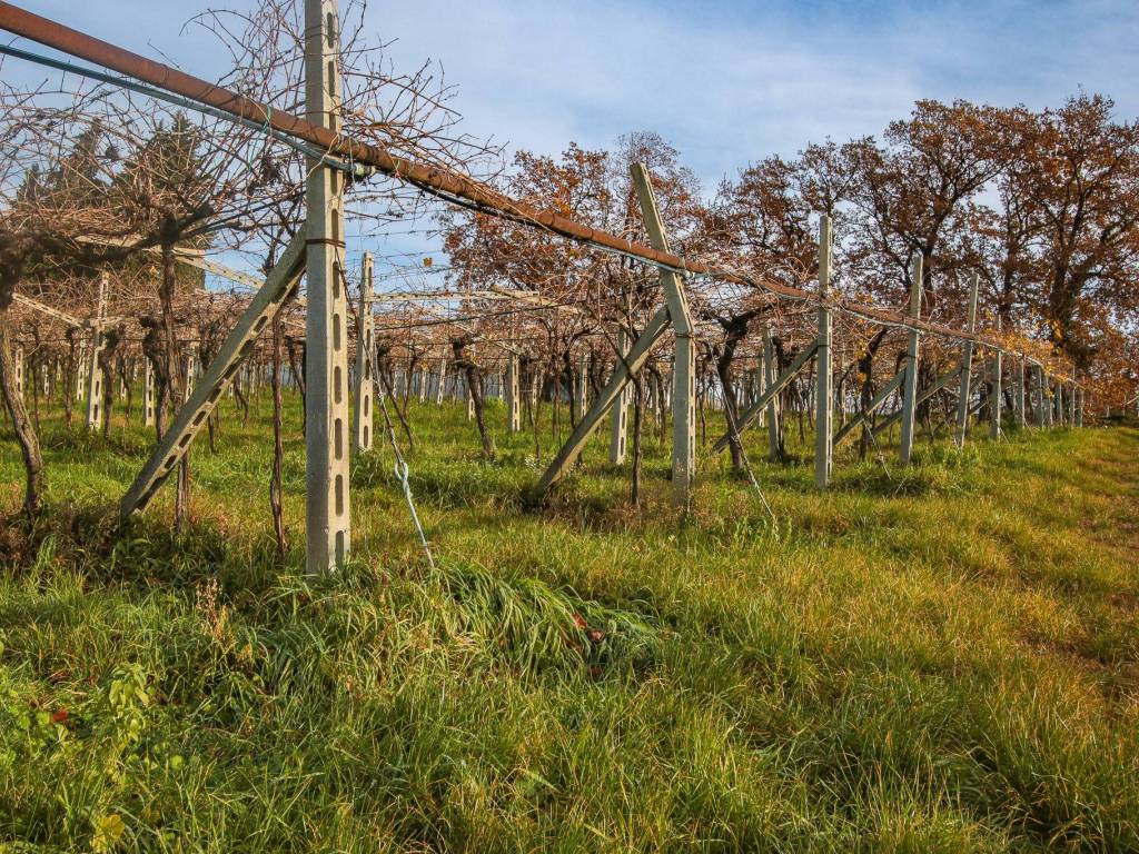 Terreno a Sant'ambrogio di valpolicella in Via Case Sparse Conca d'Oro - Foto 2