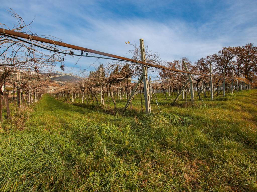 Terreno a Sant'ambrogio di valpolicella in Via Case Sparse Conca d'Oro - Foto 3