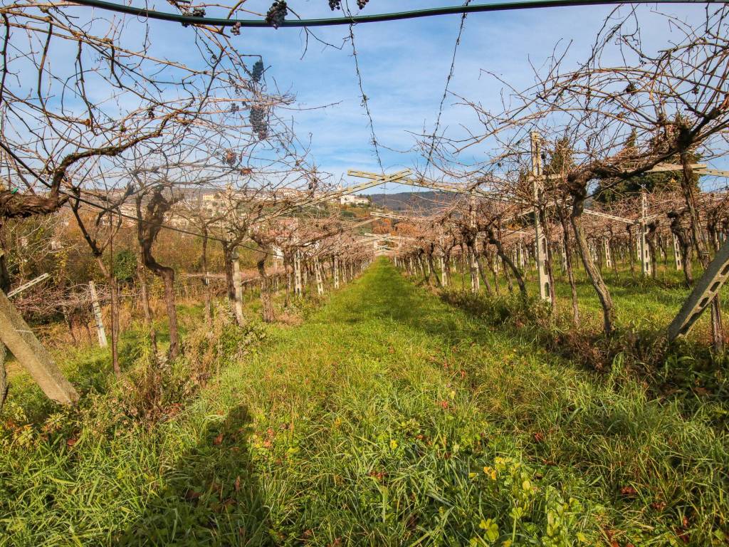 Terreno a Sant'ambrogio di valpolicella in Via Case Sparse Conca d'Oro - Foto 4