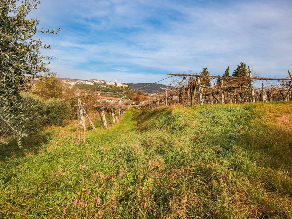 Terreno a Sant'ambrogio di valpolicella in Via Case Sparse Conca d'Oro - Foto 5