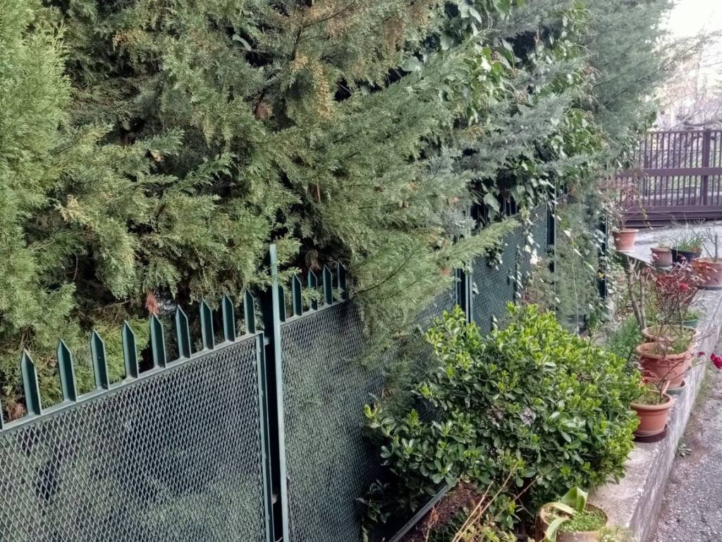Casa indipendente a Campobasso in Viale Alessandro Manzoni, 221 - Foto 4