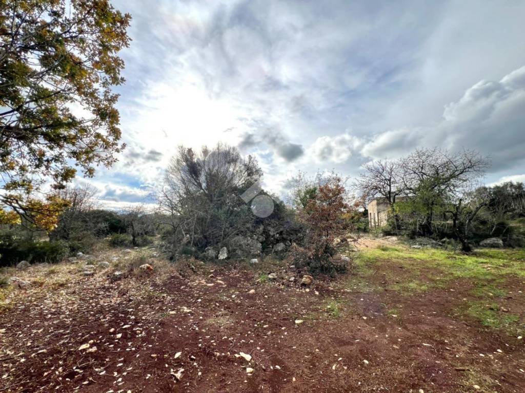 Terreno a Ceglie messapica in Contrada Amato - Foto 4