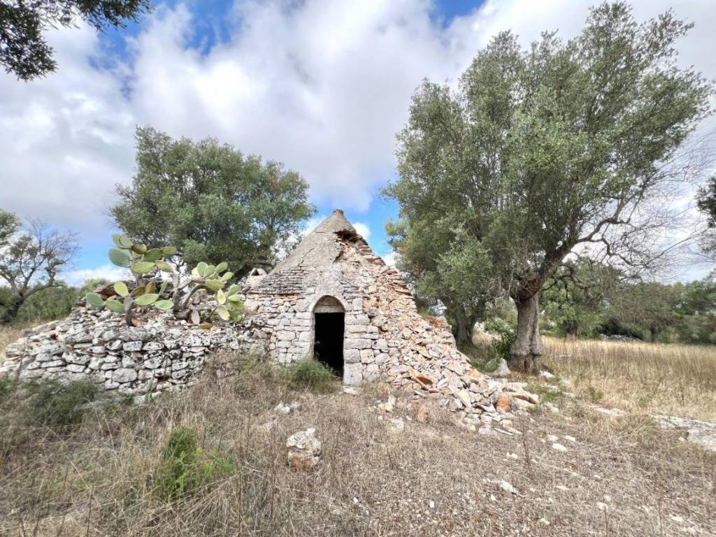 Rustico / casale a Ceglie messapica in Contrada s. angelo - Foto 2