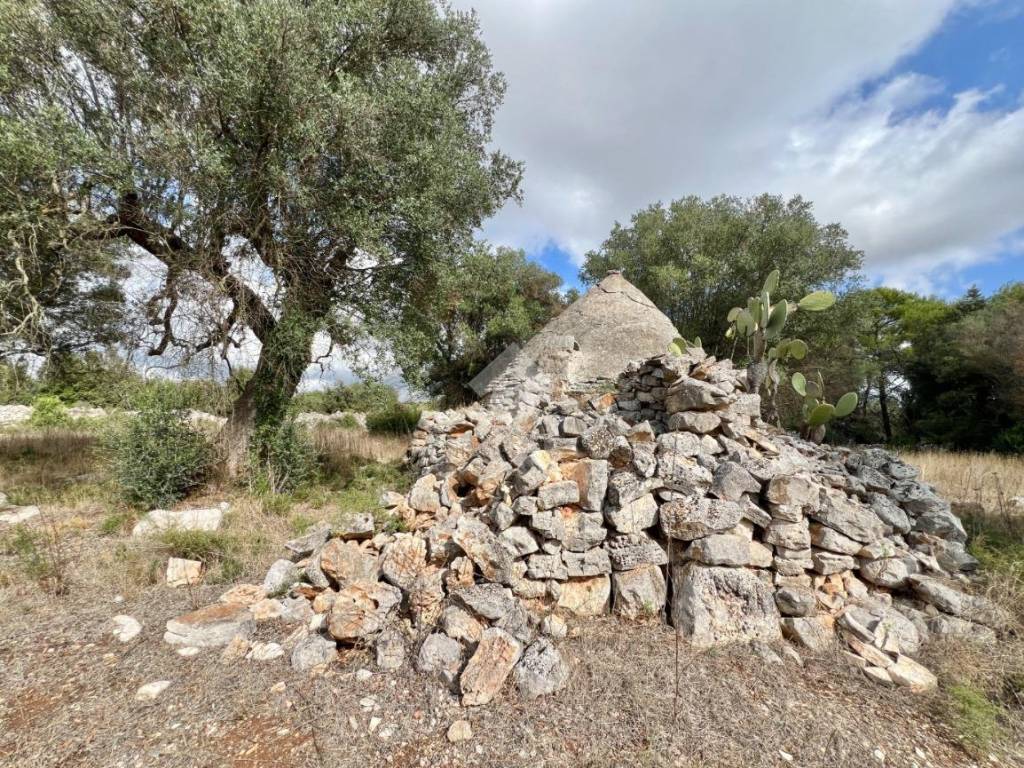 Rustico / casale a Ceglie messapica in Contrada s. angelo - Foto 4