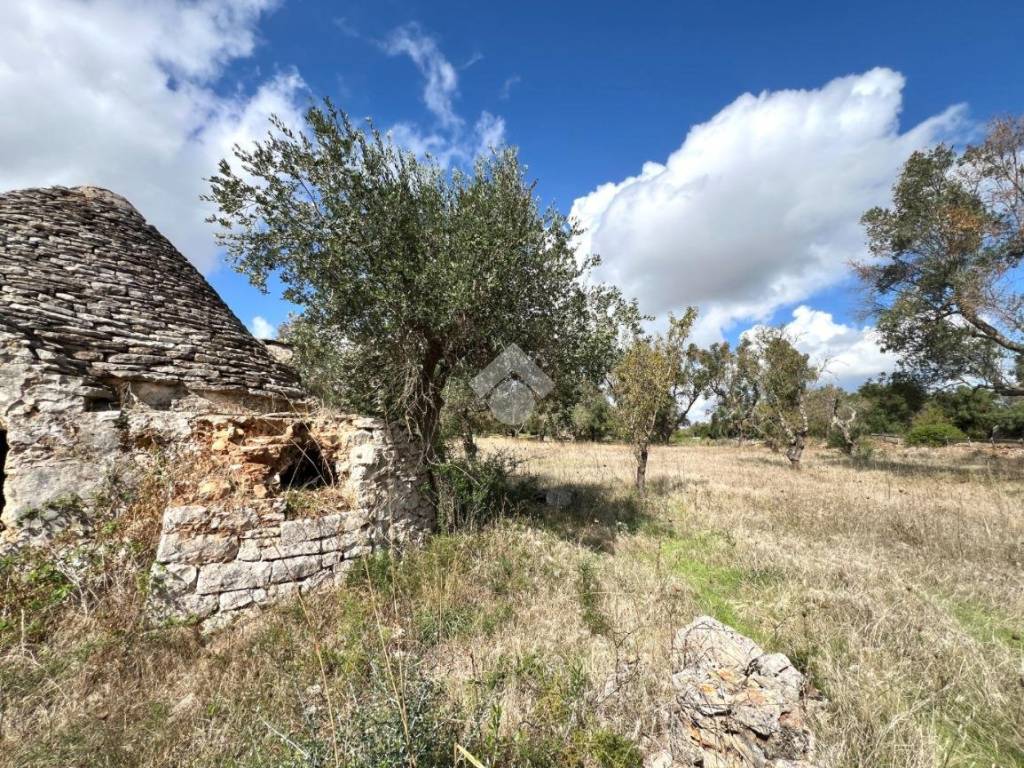 Rustico / casale a Ceglie messapica in Contrada s. angelo - Foto 5