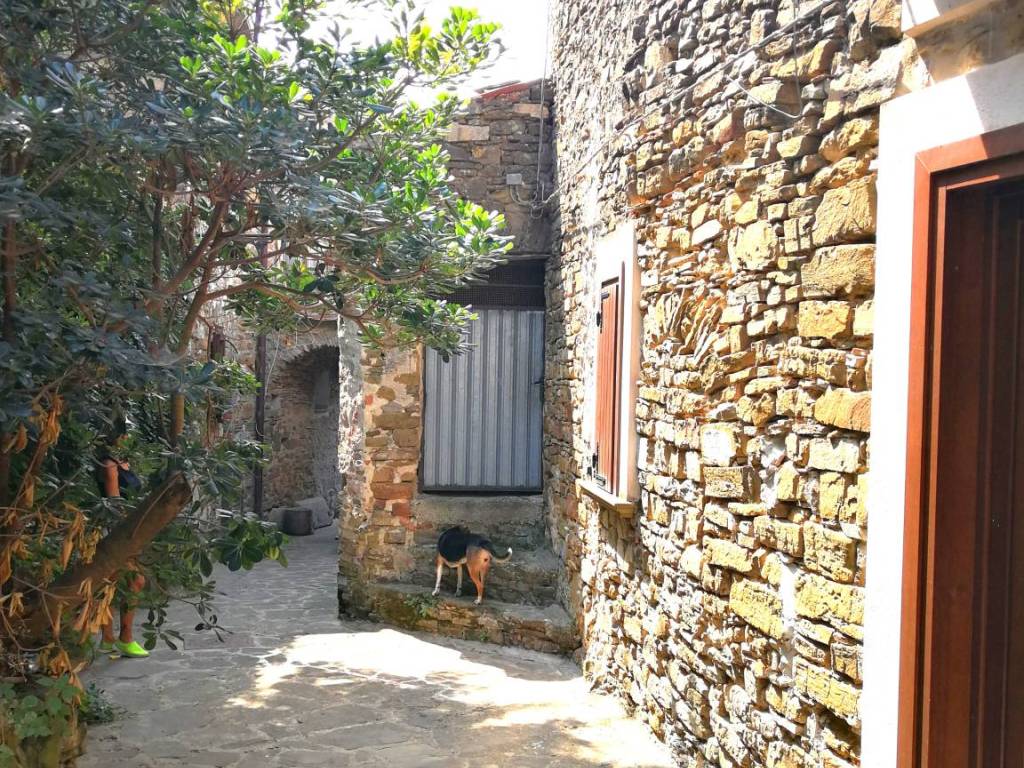 Rustico / casale a Pollica in Via Matteo Mazziotti - Foto 2