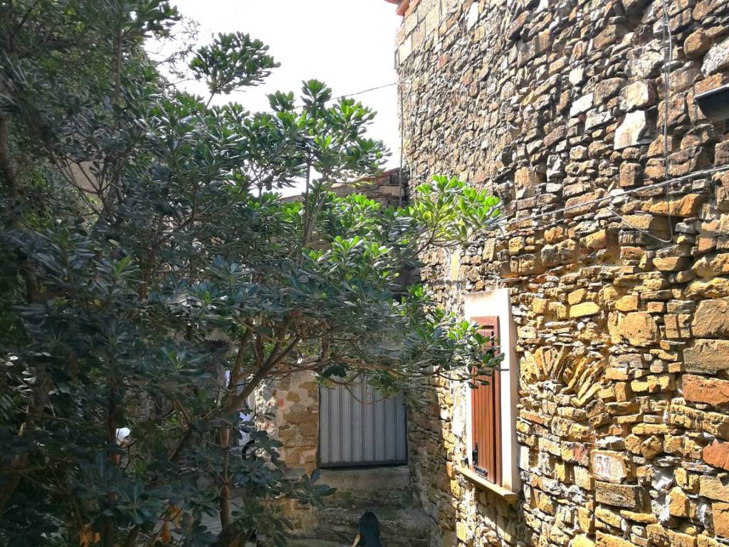 Rustico / casale a Pollica in Via Matteo Mazziotti - Foto 3
