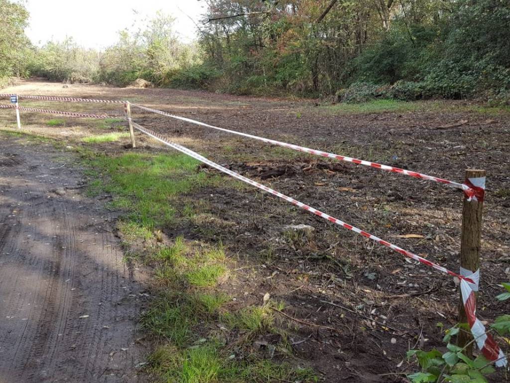 Terreno a Besnate in Via Nazario Sauro - Foto 4