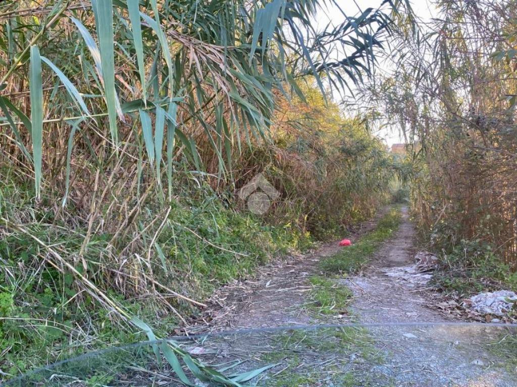 Terreno a Diamante in Località Piantine - Foto 2