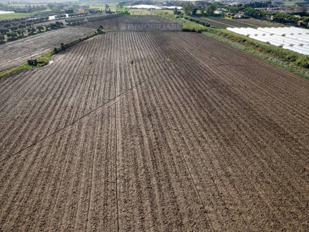 Terreno a Montalto di castro in Strada Provinciale Pescia Romana - Foto 4