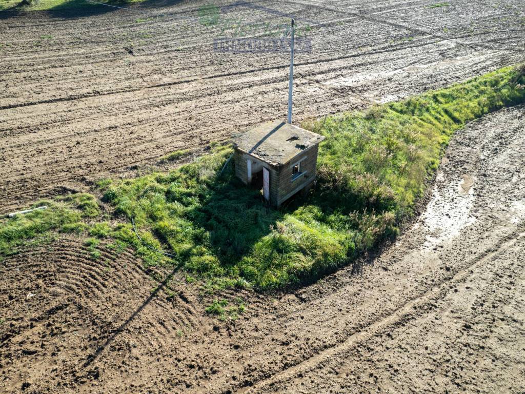Terreno a Montalto di castro in Strada Provinciale Pescia Romana - Foto 5