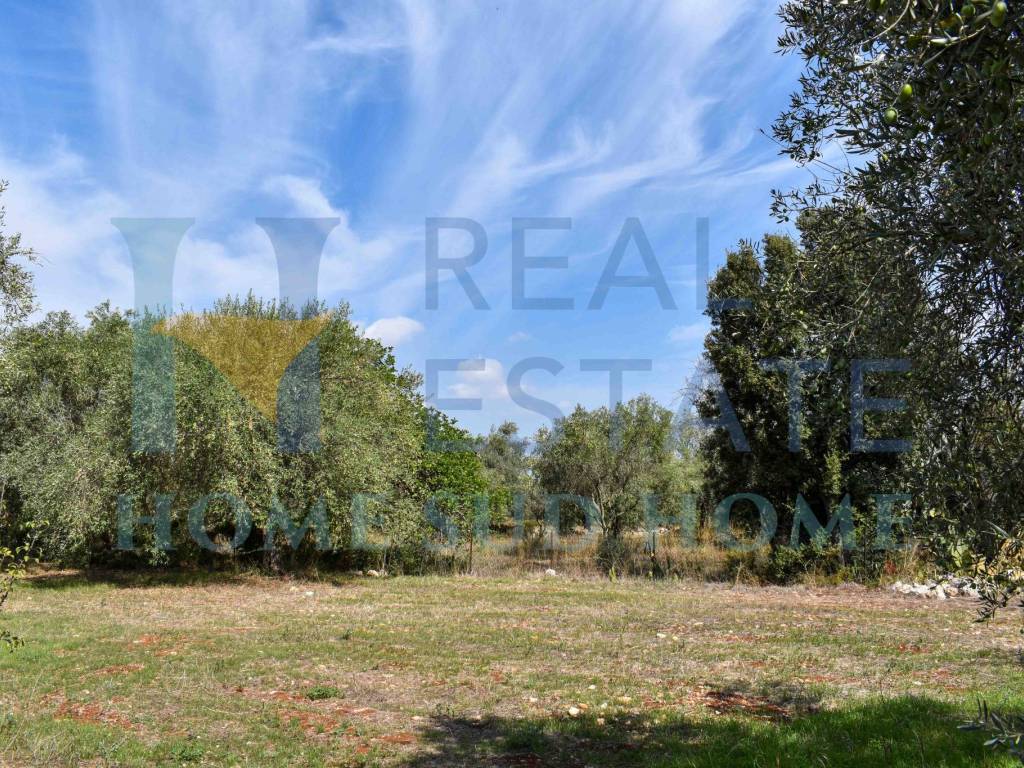Rustico / casale a Noto in Via Tommaso Fazello, 228 - Foto 4