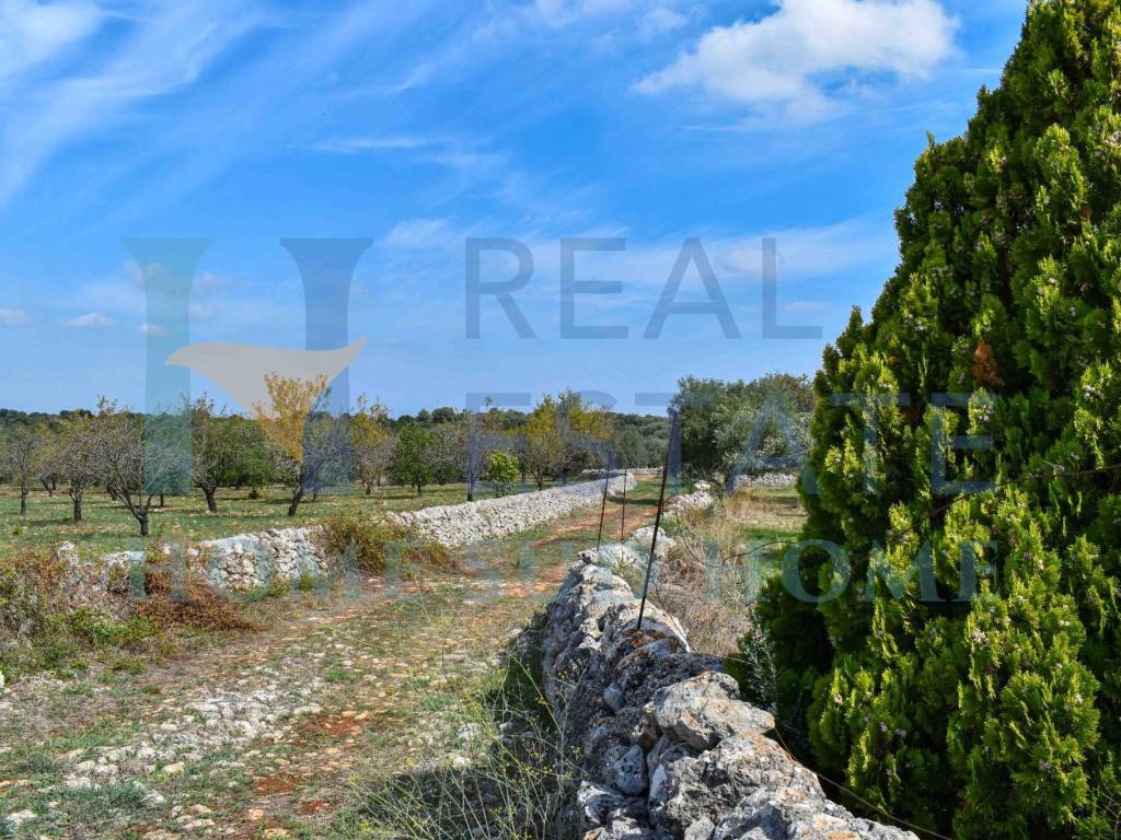 Rustico / casale a Noto in Via Tommaso Fazello, 228 - Foto 5