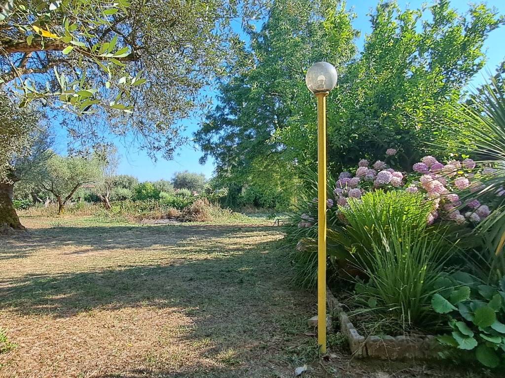 Rustico / casale a Filandari in Via Antonino Pesce - Foto 2