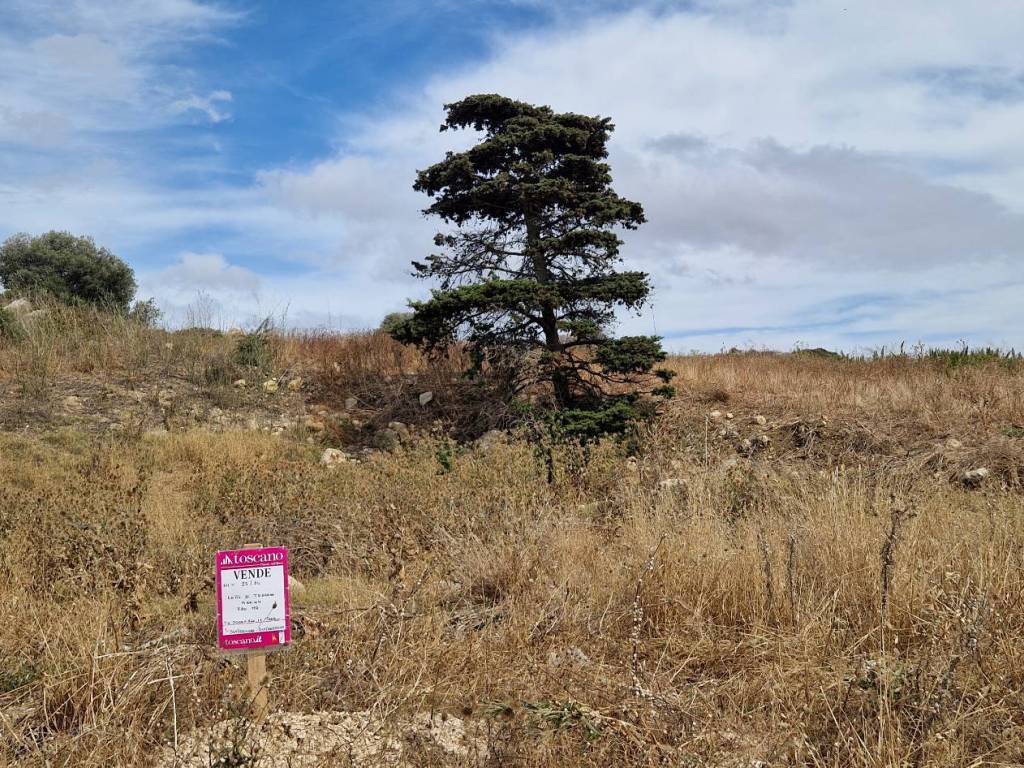 Terreno a Valderice in Valderice C/da Rizzuto Via Leonardo Sciascia - Foto 3