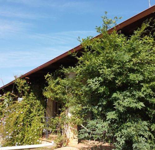 Villa a Ostuni in Contrada Sorbole 5 - Foto 2