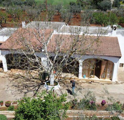 Villa a Ostuni in Contrada Badessa - Foto 4