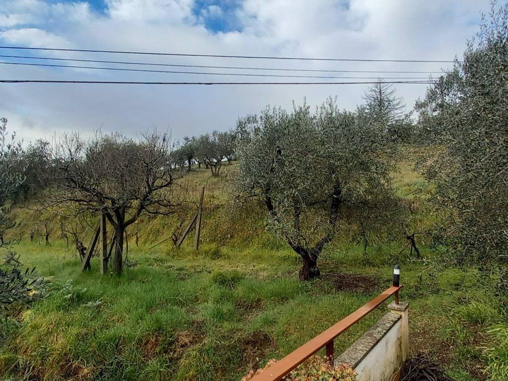 Casa indipendente a Panicale - Foto 4