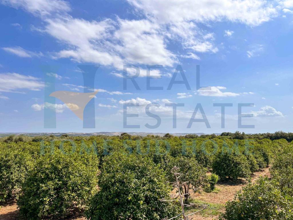 Terreno a Noto in Via Tommaso Fazello, 228 - Foto 3
