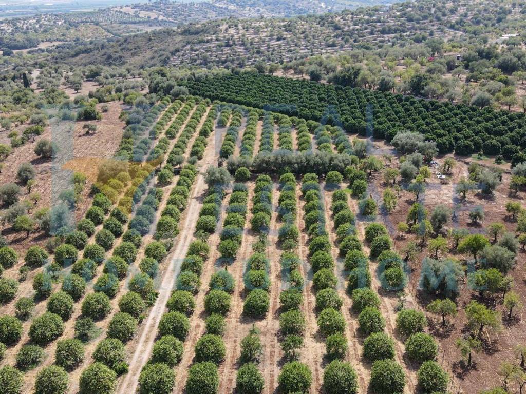 Terreno a Noto in Via Tommaso Fazello, 228 - Foto 4