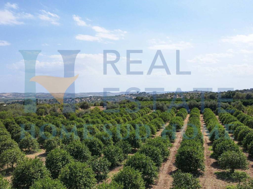 Terreno a Noto in Via Tommaso Fazello, 228 - Foto 5