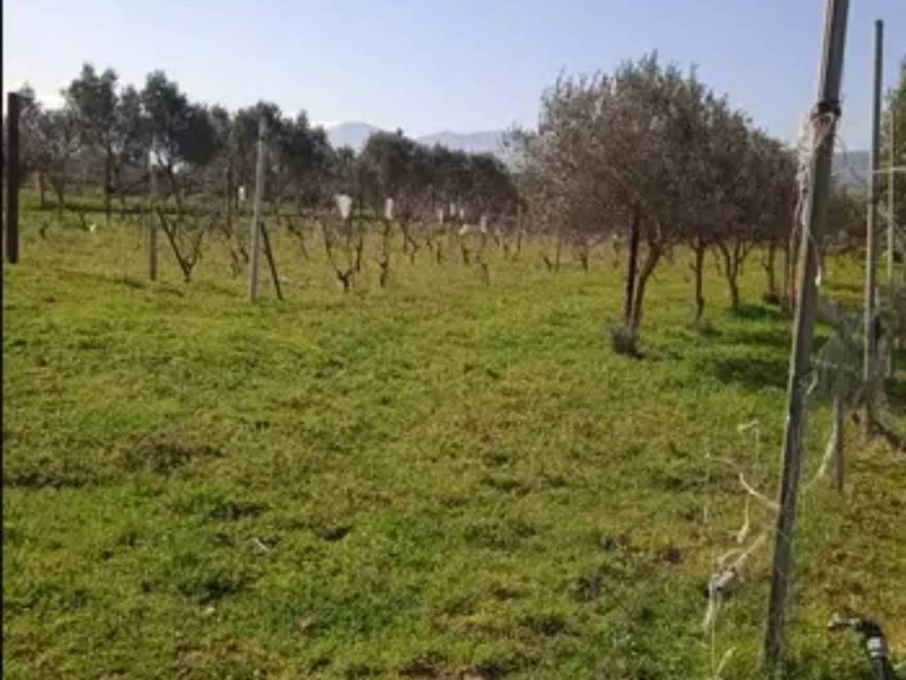 Casa indipendente a Guspini in Località Corraleddu - Foto 3