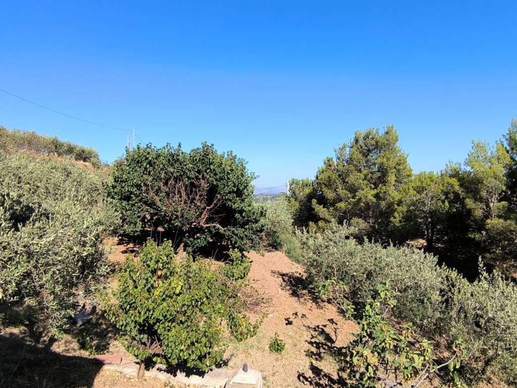 Villa a Piana degli albanesi in Via Saravuli - Foto 5