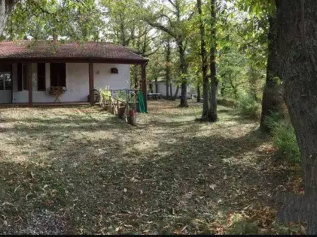 Villa a Castel del piano in Località Pian di Ballo (Castel del Piano) - Foto 2