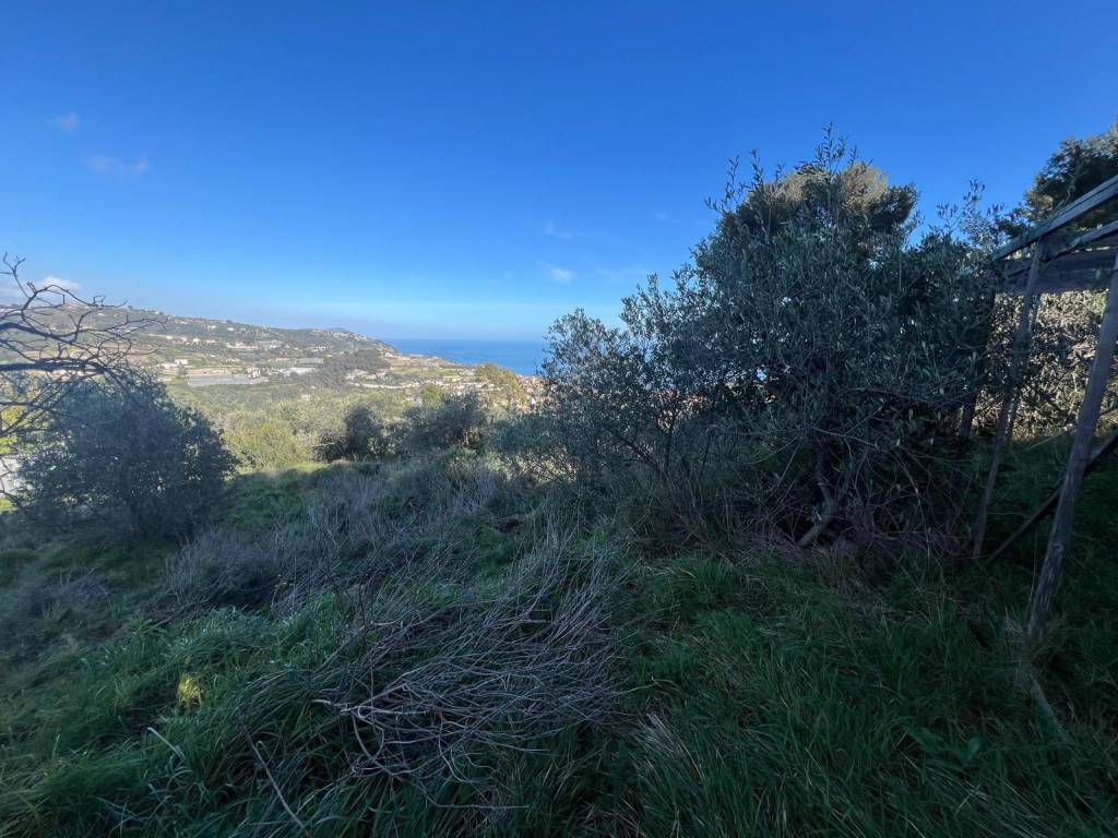 Terreno a Costarainera in Regione Di Torre del Poggio - Foto 3