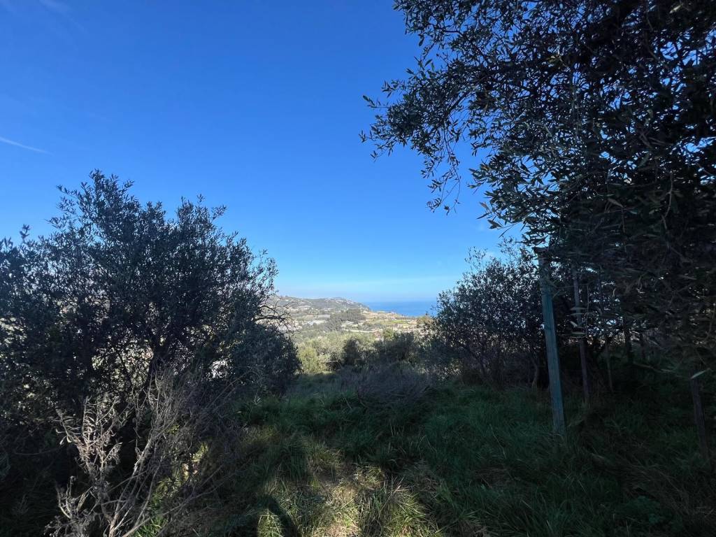 Terreno a Costarainera in Regione Di Torre del Poggio - Foto 4