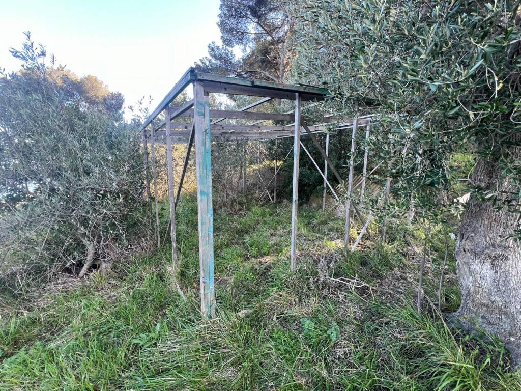 Terreno a Costarainera in Regione Di Torre del Poggio - Foto 5