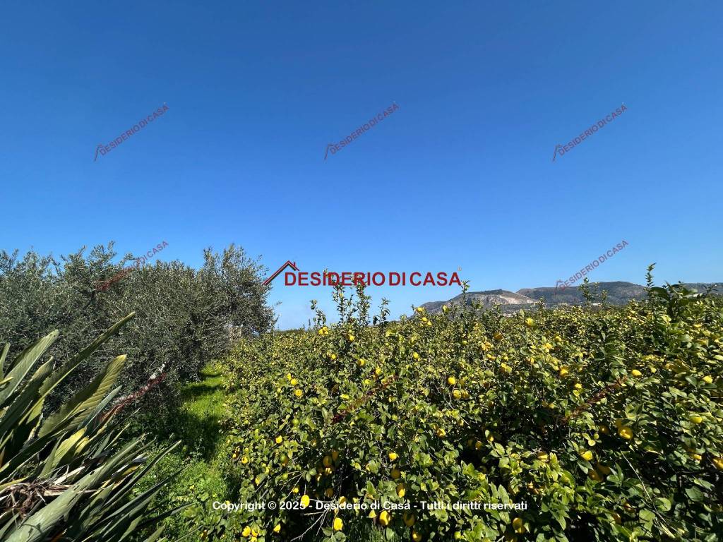 Terreno a Ficarazzi in Corso Umberto I - Foto 3