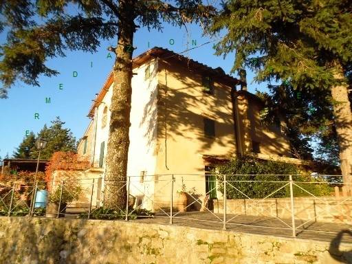 Rustico / casale a Borgo san lorenzo - Foto 1