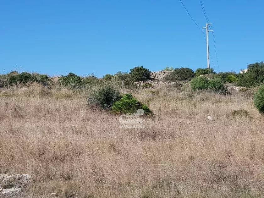 Terreno a Marsala - Foto 3