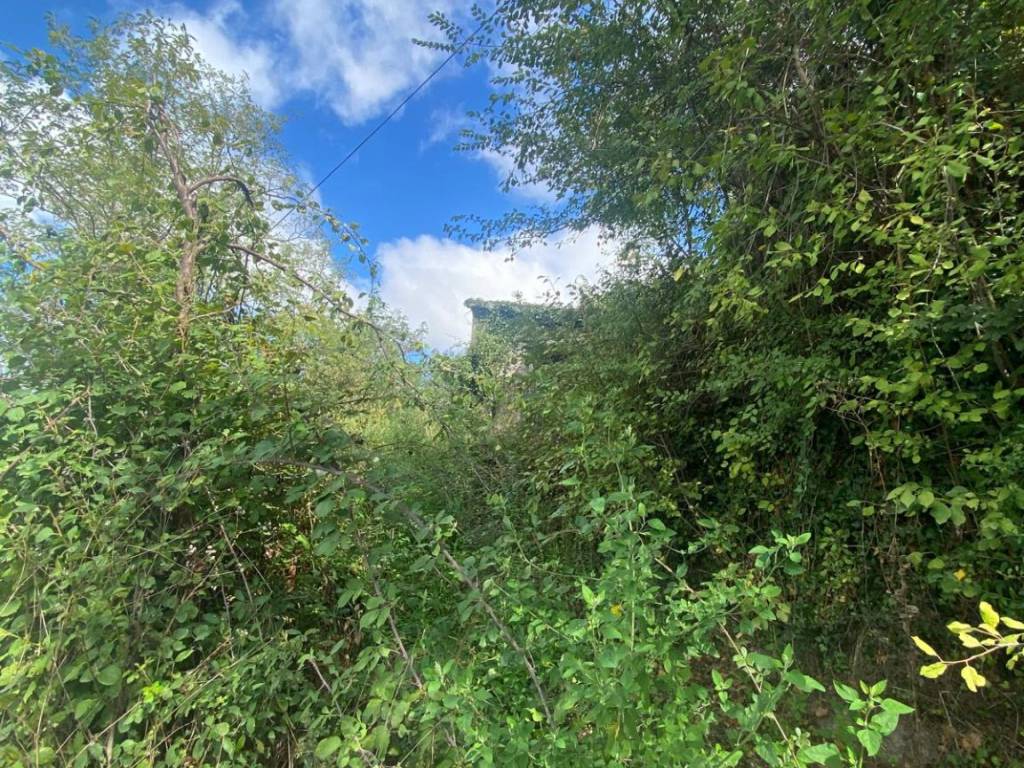 Terreno a Grottolella in Via Gradoni Ortocurti, Grottolella - Foto 2