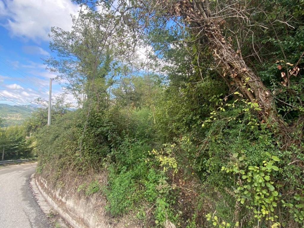 Terreno a Grottolella in Via Gradoni Ortocurti, Grottolella - Foto 5