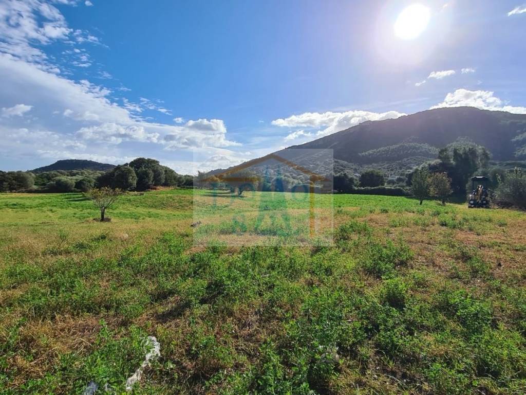 Terreno a Torpè - Foto 2