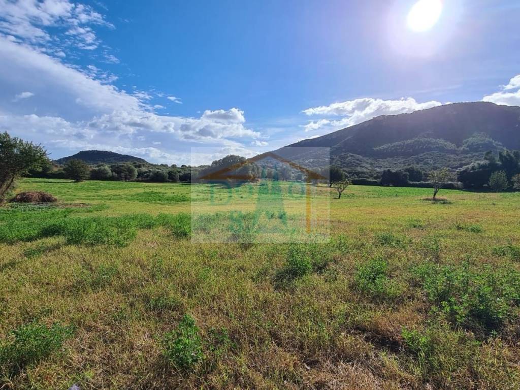 Terreno a Torpè - Foto 3