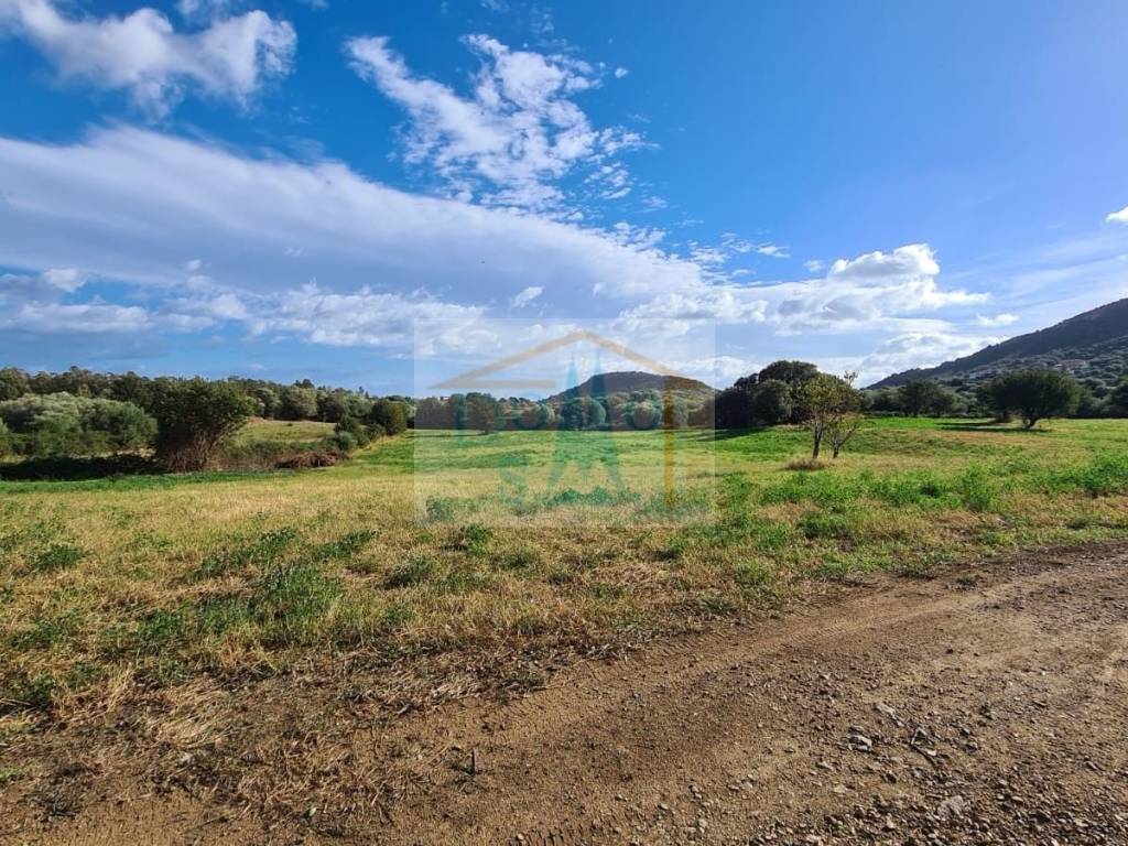 Terreno a Torpè - Foto 4