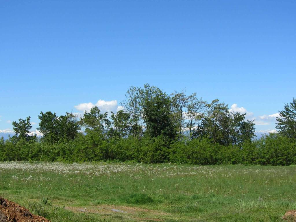 Terreno a Pianfei in Via Roma - Foto 2