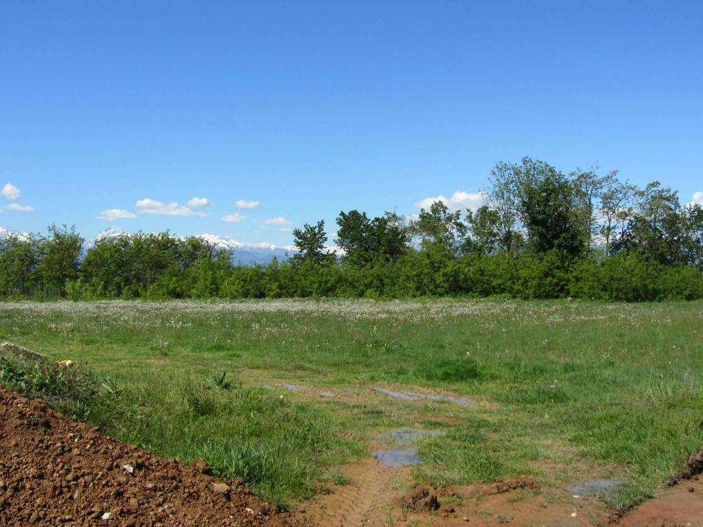 Terreno a Pianfei in Via Roma - Foto 3