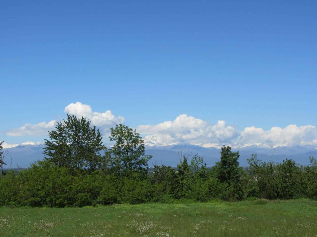 Terreno a Pianfei in Via Roma - Foto 4