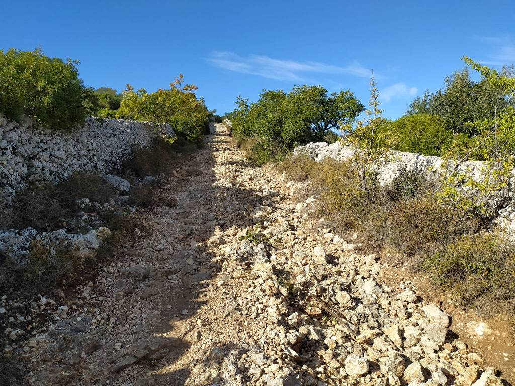 Terreno a Noto in Noto - C.da Olivella - Foto 5