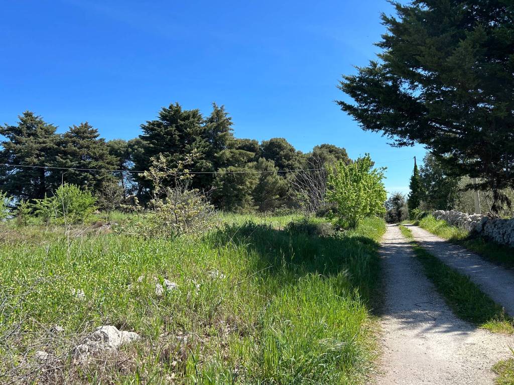 Terreno a Noto in Noto Baulì - Foto 2